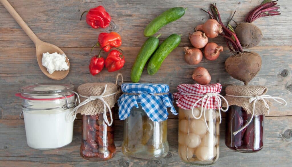 Cuisine Veggie : Aliments fermentés, santé, bien-être